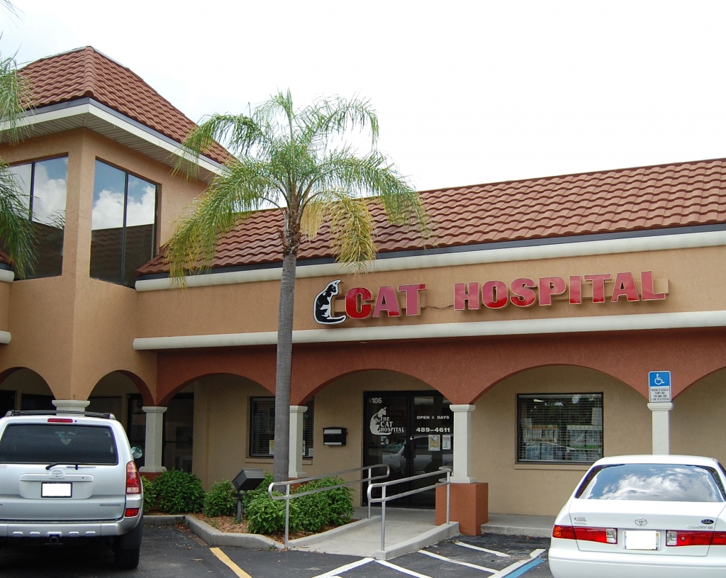 Contact Us The Cat Hospital of Ft Myers Ft Myers, FL